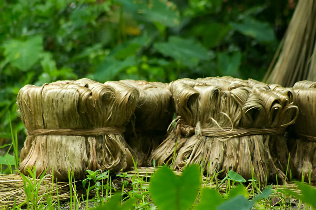 Jute fabrics and industrial supply