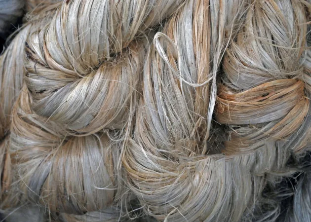 Bundles of raw jute fiber